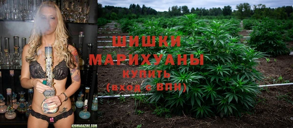 молекула духа Богданович