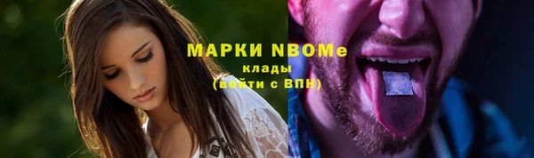 молекула духа Богданович