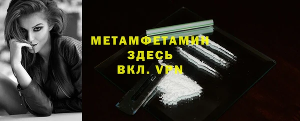 молекула духа Богданович