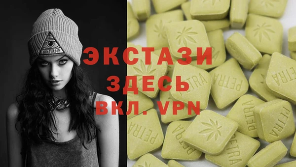молекула духа Богданович