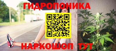 apvp Балашиха