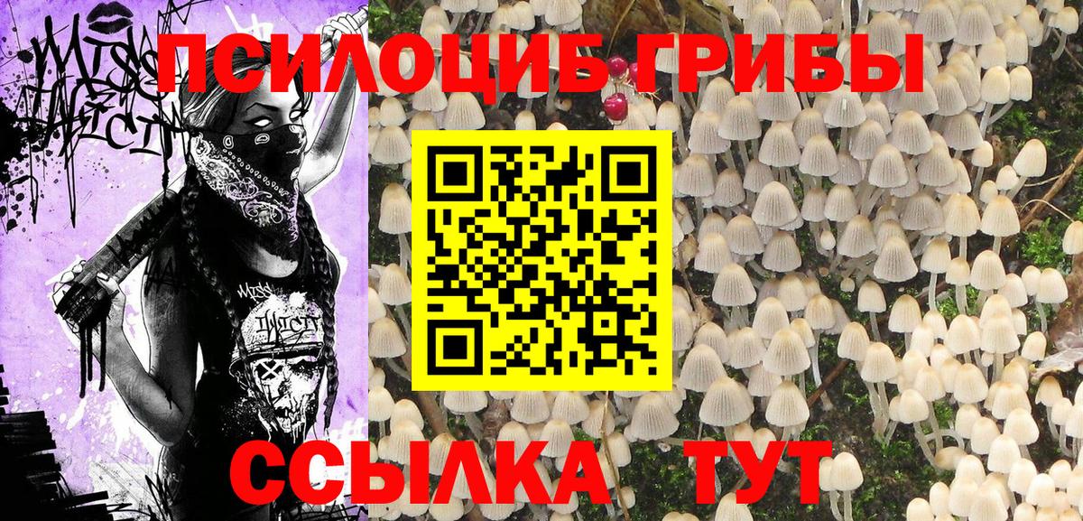 Вичуга  Галлюциногенные грибы мицелий  Вход с VPN  Псилоцибиновые грибы ЛСД 