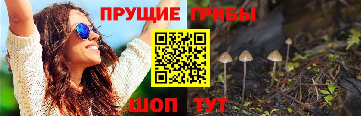 Галлюциногенные грибы MAGIC MUSHROOMS  Вичуга 